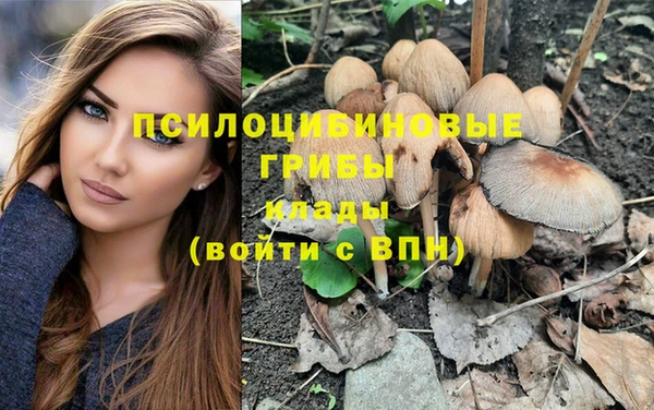 соль курить ск Аркадак